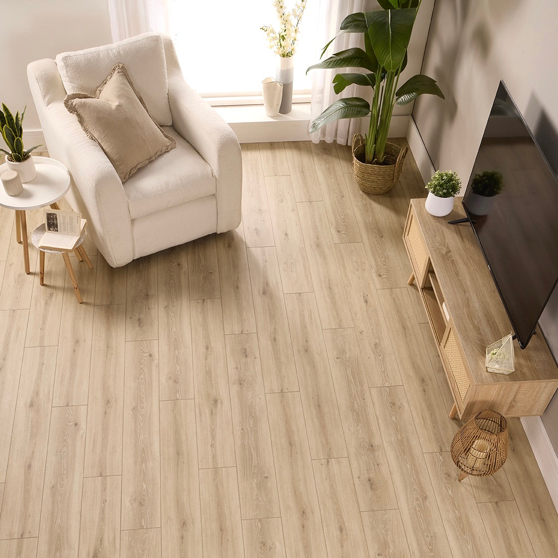 Toledo Oak Glue Down LVT – image 3