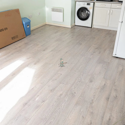 Porcini Oak 12mm Laminate – image 9