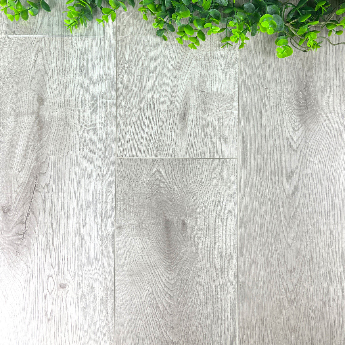 Pearl Oak 12mm Laminate – image 1