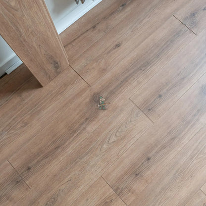 Caribbean Oak 12mm Laminate – image 4
