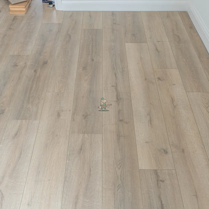 Grey Beige Oak 12mm Laminate – image 2