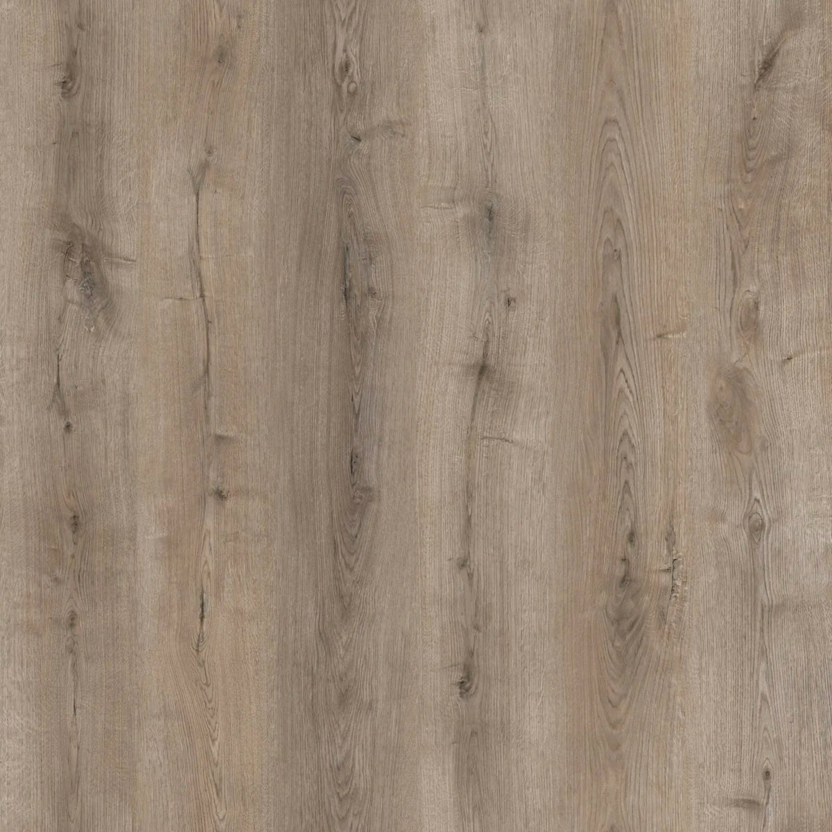 Malted Grey Oak 12mm Laminate – image 5