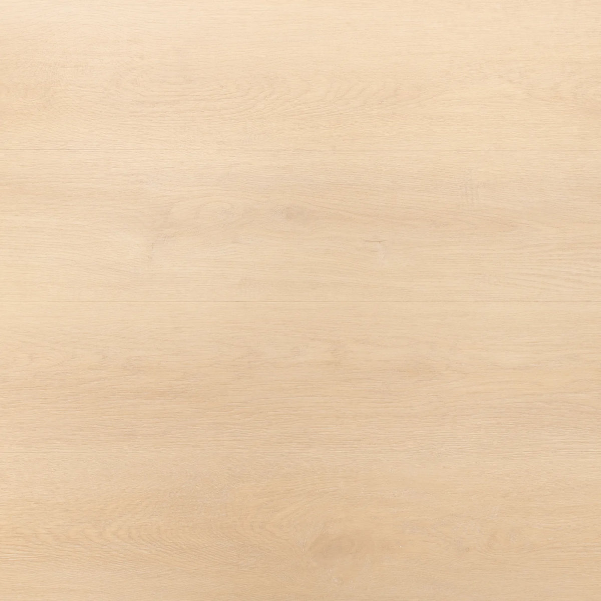 Cream Oak Glue Down LVT – close-up of the surface