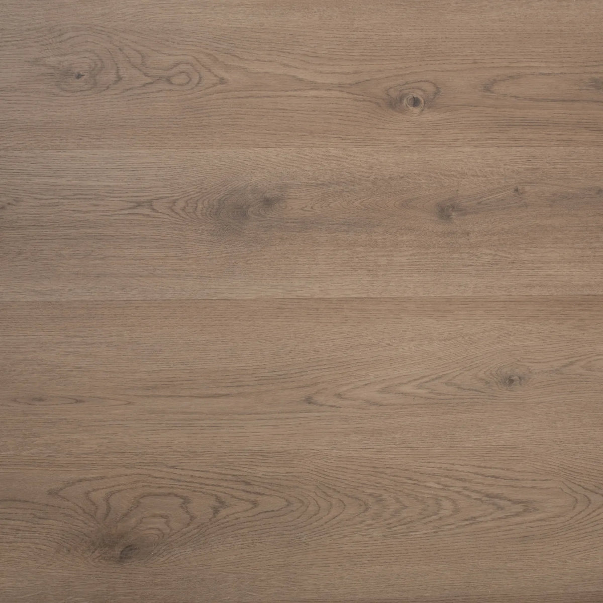 Driftwood Oak Glue Down LVT – close-up of the surface