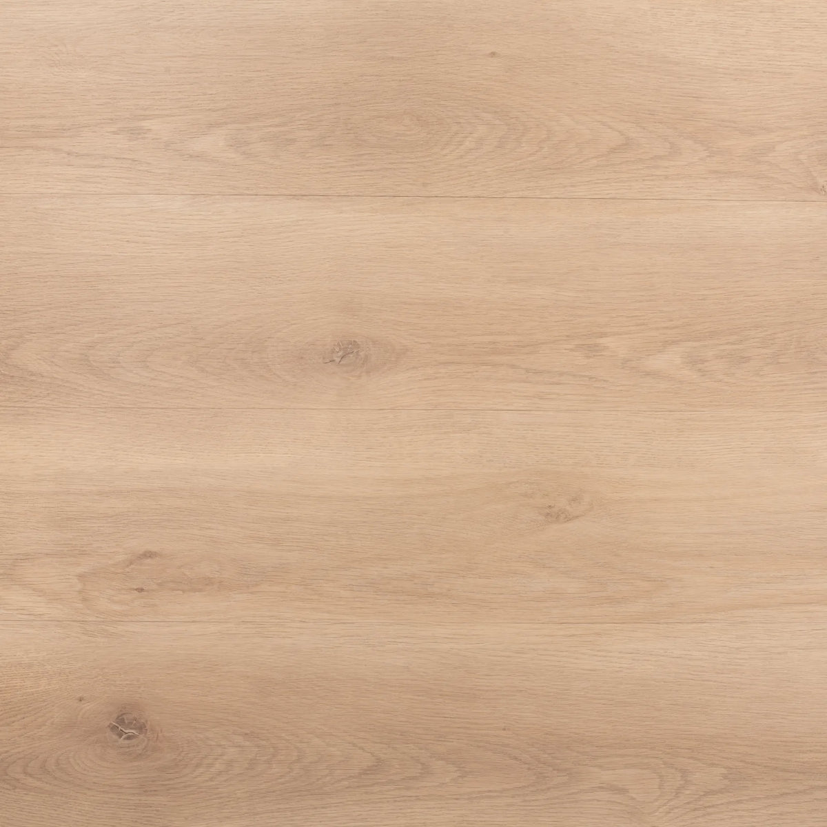 Almond Oak Glue Down LVT – close-up of the surface