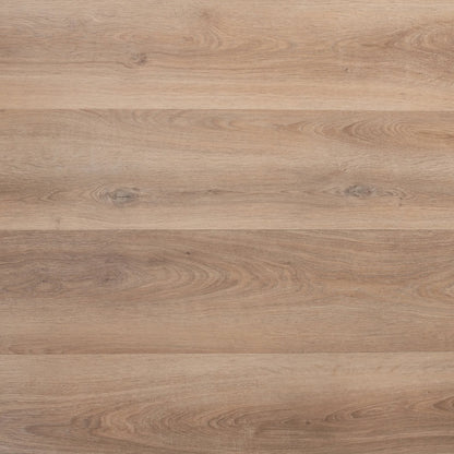Bronde Oak Glue Down LVT – image 2
