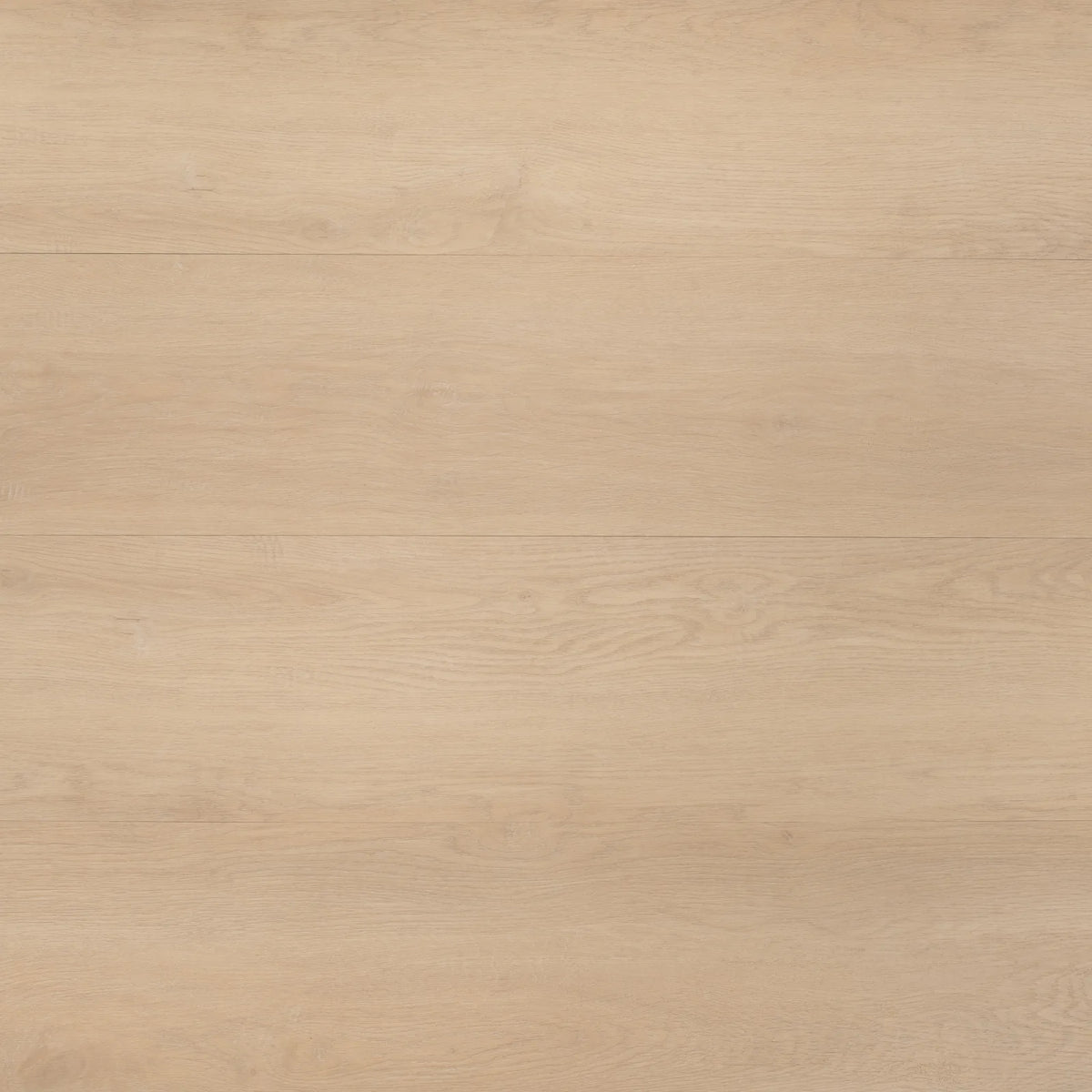 Sandstone Oak Glue Down LVT – image 2