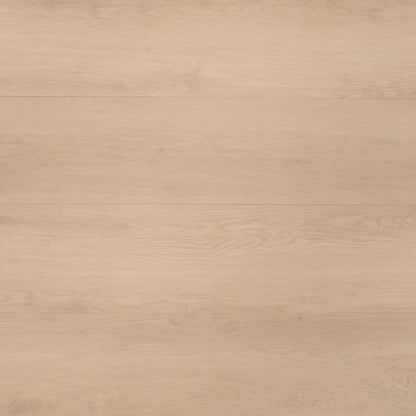 Sandstone Oak Glue Down LVT – image 2
