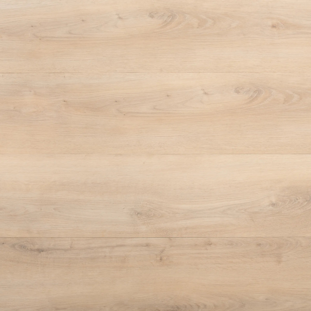 Natural Blonde Oak Glue Down LVT – image 2