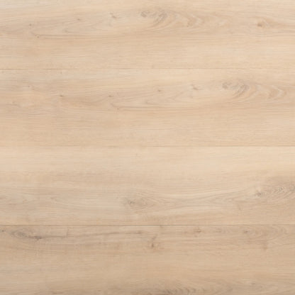 Natural Blonde Oak Glue Down LVT – image 2