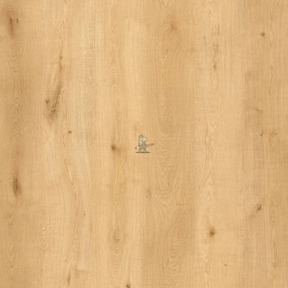 Biscuit Oak 12mm Laminate – image 5