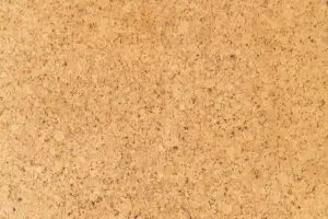 cork floor
