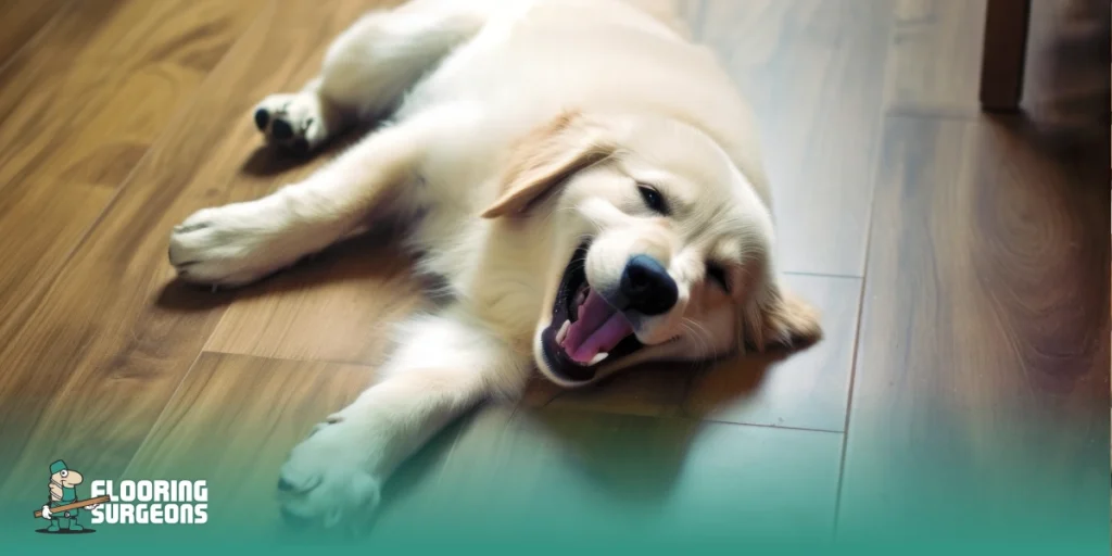 Are We Moving Towards Maintenance-Free Flooring? Which Flooring Options Are Easiest to Maintain?